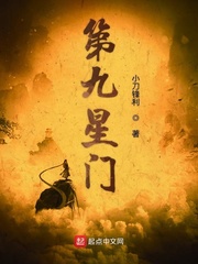 第九星门起点中文网